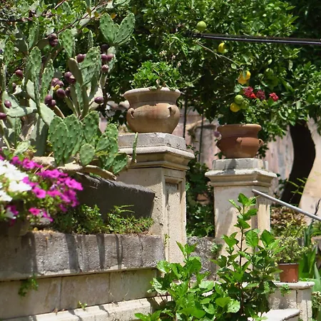 Curtigghiu19 Apartament *