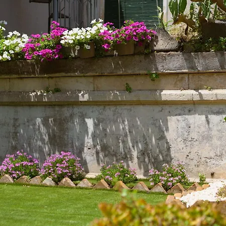 Curtigghiu19 Apartament *